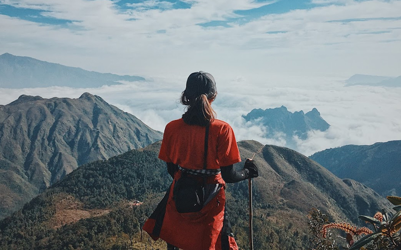 Nhân Mã phù hợp với các ngành linh hoạt và năng động